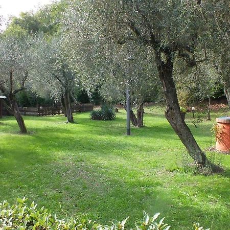 Gli Ulivi Bed and Breakfast Fosdinovo Buitenkant foto